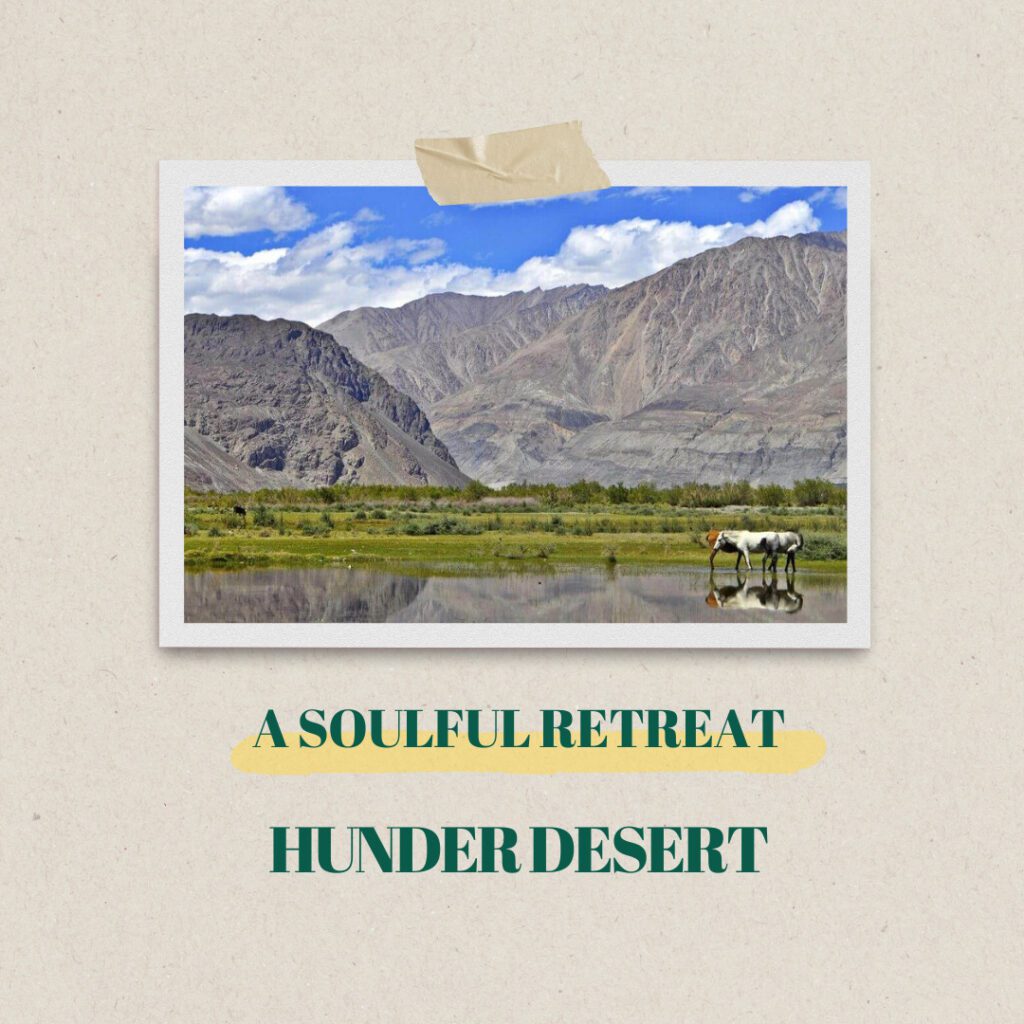 Ladakh Serene Journey: A Soulful Retreat 3 - Ladakh Serene Journey Ladakh's Serene Landscape - Hunder Desert.