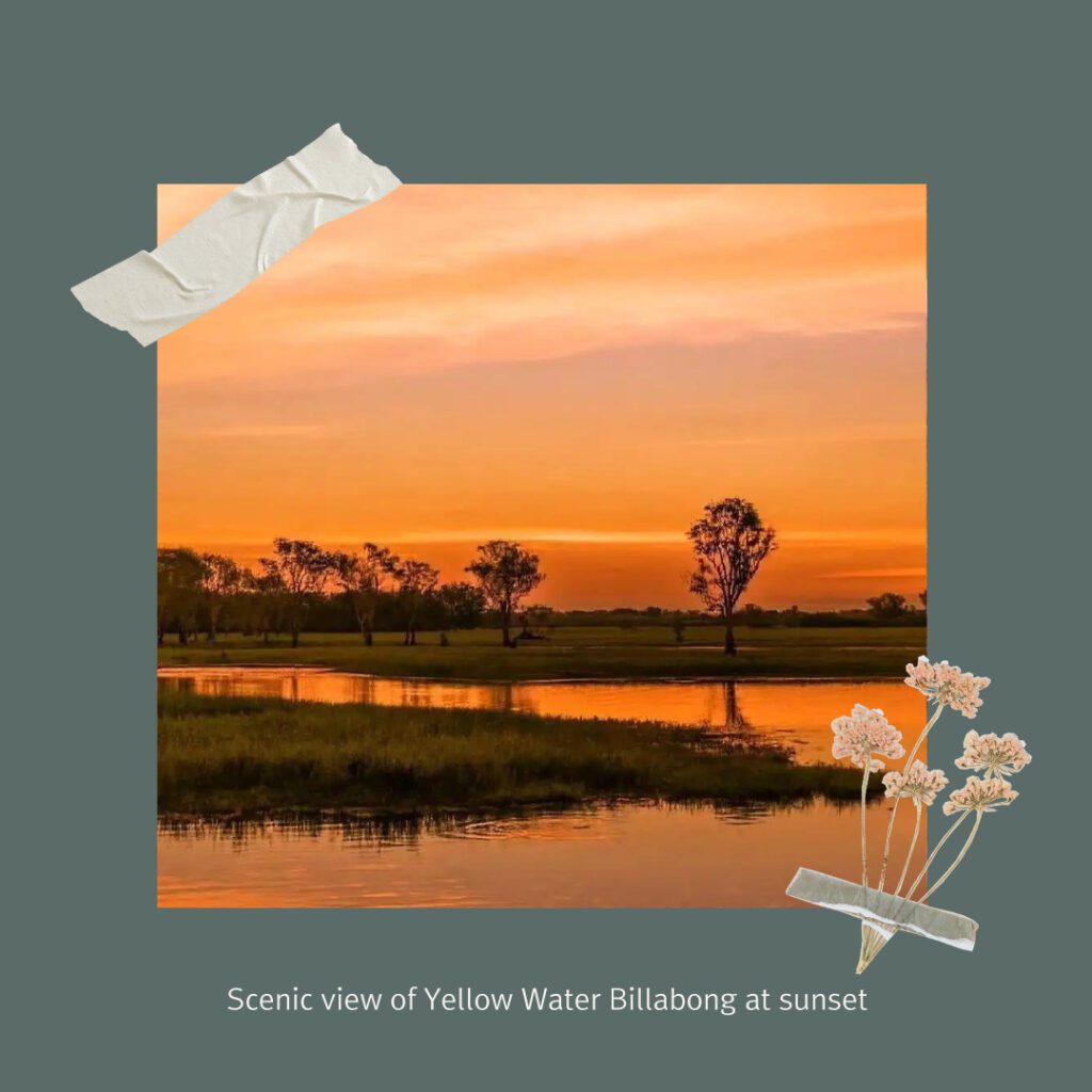 Senior Adventure in Kakadu 4 - Senior Adventure in Kakadu Senior Adventure in Kakadu :)sunset at Yellow Water Billabong on a Kakadu Getaway